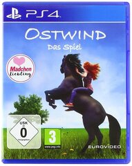 Ostwind - игра цена и информация | Компьютерные игры | kaup24.ee