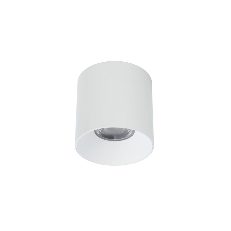 LED valgusti Nowodvorski CL IOS 30W 3000K ANGLE 36 8731 hind ja info | Laelambid | kaup24.ee