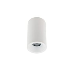 Потолочный светильник Nowodvorski Alpha 8362, белый цвет цена и информация | Потолочные светильники | kaup24.ee