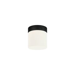 Потолочный светильник Nowodvorski Cayo 8055, черный цена и информация | Потолочные светильники | kaup24.ee
