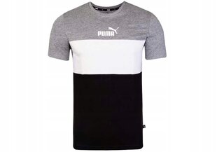 T-särk puma ess+ colorblock tee 58690803 цена и информация | Мужские футболки | kaup24.ee