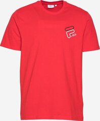 Футболка Fila Janto Graphic TEE M 683277006 цена и информация | Мужские футболки | kaup24.ee