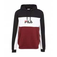 HOODIE FILA ANALU BLOCKED HOODY M 688466B447 цена и информация | Мужские толстовки | kaup24.ee