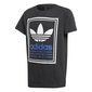 T-särk adidas originals graphic tee gd2801 hind ja info | Poiste särgid | kaup24.ee