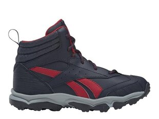 SPORTS REEBOK RUGGED RUNNER MID FW8554 цена и информация | Детская спортивная обувь | kaup24.ee