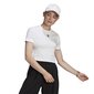 T-särk adidas originals crop top gn2803 цена и информация | Naiste T-särgid, topid | kaup24.ee