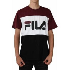 T-SHIRT FILA DAY TEE M 681244A815 цена и информация | Meeste T-särgid | kaup24.ee