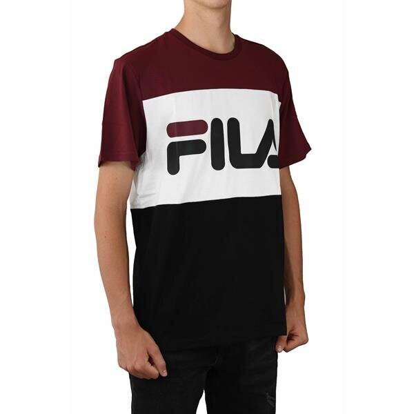 T-särk fila day tee m 681244a815 hind ja info | Meeste T-särgid | kaup24.ee