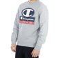 Džemper champion legacy crewneck sweatshirt 216604em006 hind ja info | Meeste pusad | kaup24.ee