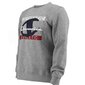 Džemper champion legacy crewneck sweatshirt 216604em006 hind ja info | Meeste pusad | kaup24.ee