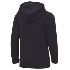 Džemper champion legacy hooded sweatshirt 305784kk001 цена и информация | Свитеры, жилетки, пиджаки для мальчиков | kaup24.ee