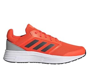 Spordijalatsid adidas performance galaxy 5 h04595 hind ja info | Spordi- ja vabaajajalatsid meestele | kaup24.ee