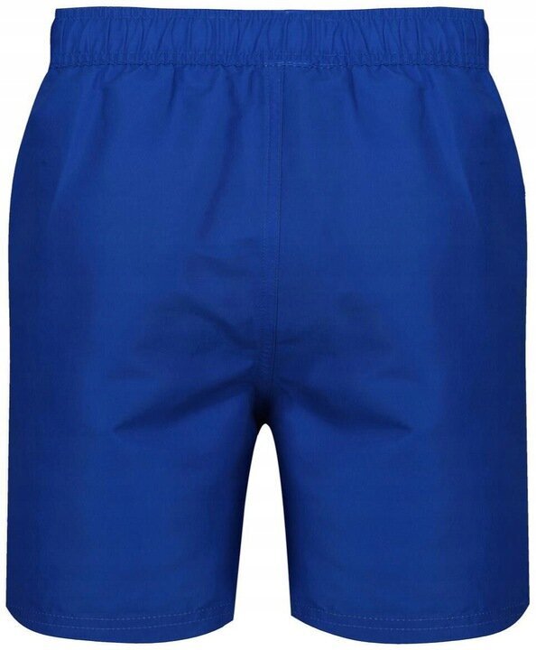 Lühikesed püksid reebok swim short yale 71002blu цена и информация | Ujumispüksid, shortsid | kaup24.ee