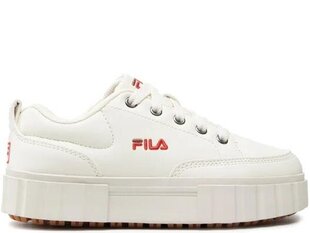 SPORTS FILA SANDBLAST LOW K 101142179G цена и информация | Детская спортивная обувь | kaup24.ee