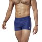 Lühikesed püksid reebok sw pool short eb6708 hind ja info | Ujumispüksid, shortsid | kaup24.ee