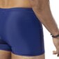 Lühikesed püksid reebok sw pool short eb6708 цена и информация | Ujumispüksid, shortsid | kaup24.ee