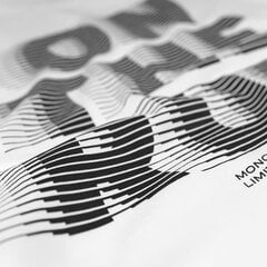 Футболка Monotox  цена и информация | Мужские футболки | kaup24.ee
