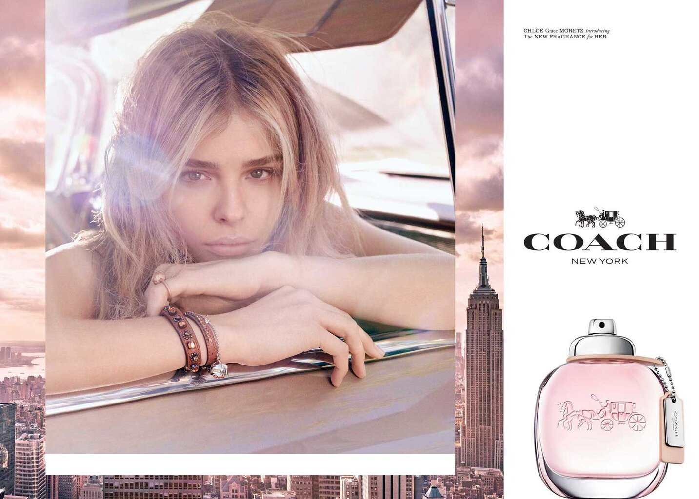 Coach Coach EDT naistele 50 ml hind ja info | Naiste parfüümid | kaup24.ee