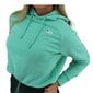 Džemper fila elaxi cropped hoody w 688570b036 цена и информация | Naiste pusad | kaup24.ee