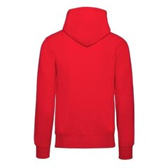 HOODIE CHAMPION ROCHESTER HOODED SWEATSHIRT 214183RS041 цена и информация | Мужские толстовки | kaup24.ee