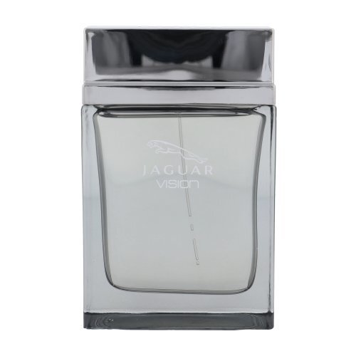 Jaguar Visioon – EDT 100 ml цена и информация | Meeste parfüümid | kaup24.ee