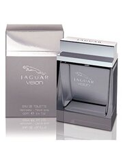 Jaguar Visioon – EDT 100 ml hind ja info | Jaguar Kosmeetika, parfüümid | kaup24.ee