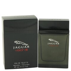 Туалетная вода Jaguar Vision III EDT для мужчин, 100 мл цена и информация | Jaguar Духи, косметика | kaup24.ee