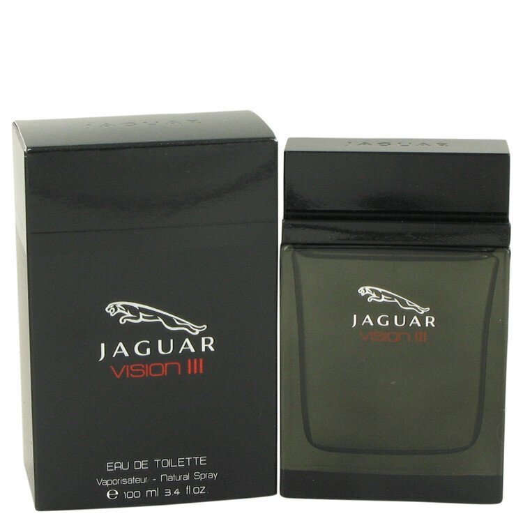 Tualettvesi Jaguar Vision III EDT meestele, 100 ml цена и информация | Meeste parfüümid | kaup24.ee