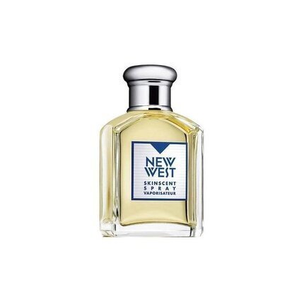 Aramis New West EDT meestele 100 ml hind ja info | Meeste parfüümid | kaup24.ee