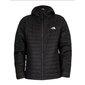 Jope the north face m grivola ins jkt nf0a4m790c5 цена и информация | Meeste joped | kaup24.ee