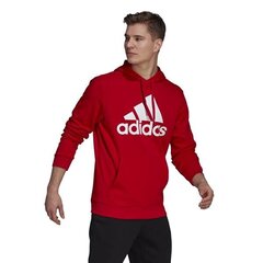 Džemper adidas performance gm6968 цена и информация | Мужские толстовки | kaup24.ee