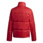 Jope adidas originals short puffer gk8556 цена и информация | Naiste joped ja parkad | kaup24.ee