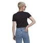 T-särk adidas originals crop top gn2802 цена и информация | Naiste T-särgid, topid | kaup24.ee