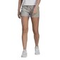 Lühikesed püksid adidas performance w sl ft short gm5602 hind ja info | Naiste lühikesed püksid | kaup24.ee