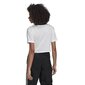 T-särk adidas originals crop top gd2359 hind ja info | Naiste T-särgid | kaup24.ee