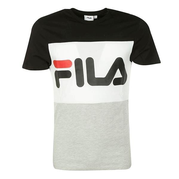 T-särk fila day tee m 681244i85 hind ja info | Meeste T-särgid | kaup24.ee