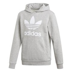 HOODIE ADIDAS ORIGINALS TREFOIL HOODIE GE1979 цена и информация | Свитеры, жилетки, пиджаки для мальчиков | kaup24.ee