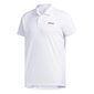 T-särk adidas core m d2m polo fl0332 hind ja info | Meeste T-särgid | kaup24.ee