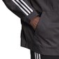 Jope adidas originals 3d windbrkr gn3551 цена и информация | Meeste spordiriided | kaup24.ee