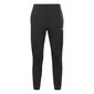 Sweatpüksid reebok ri ft jogger gj0554 цена и информация | Meeste spordiriided | kaup24.ee