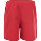 Lühikesed püksid reebok swim short yale 71002rd цена и информация | Ujumispüksid, shortsid | kaup24.ee