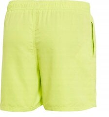 SHORTS REEBOK SWIM SHORT YALE 71002GRN цена и информация | Плавки, плавательные шорты | kaup24.ee