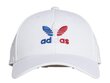 Müts adidas originals baseb class tre gn4890 hind ja info | Naiste mütsid ja peapaelad | kaup24.ee