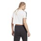 T-särk reebok te tape pack tee gq3884 цена и информация | Naiste T-särgid, topid | kaup24.ee