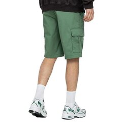 SHORTS CHAMPION ROCHESTER BERMUDA 216324GS098 цена и информация | Мужские шорты | kaup24.ee