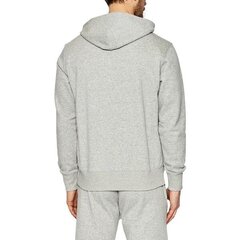 HOODIE CHAMPION ROCHESTER HOODED SWEATSHIRT 217060EM031 цена и информация | Мужские толстовки | kaup24.ee