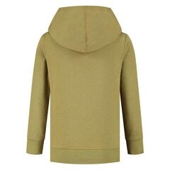 Džemper champion legacy hooded sweatshirt 305903gs092 цена и информация | Свитеры, жилетки, пиджаки для мальчиков | kaup24.ee