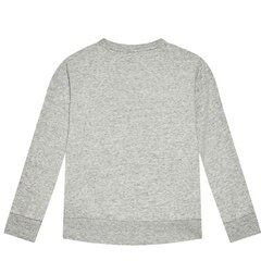 Džemper champion legacy crewneck sweatshirt 305905em021 цена и информация | Свитеры, жилетки, пиджаки для мальчиков | kaup24.ee