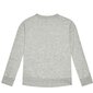 Džemper champion legacy crewneck sweatshirt 305905em021 цена и информация | Poiste kampsunid, vestid ja jakid | kaup24.ee