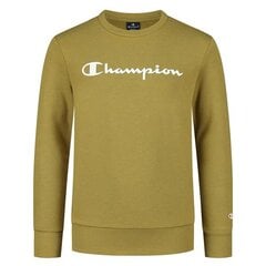 Džemper champion legacy crewneck sweatshirt 305905gs092 цена и информация | Свитеры, жилетки, пиджаки для мальчиков | kaup24.ee